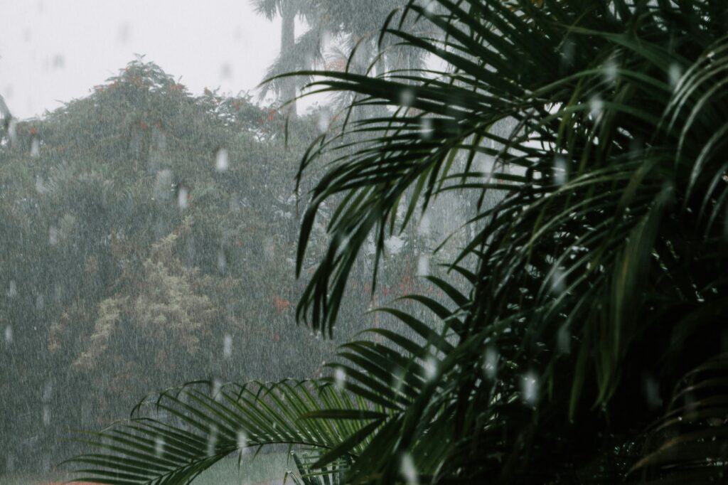 Puerto Rico Rain