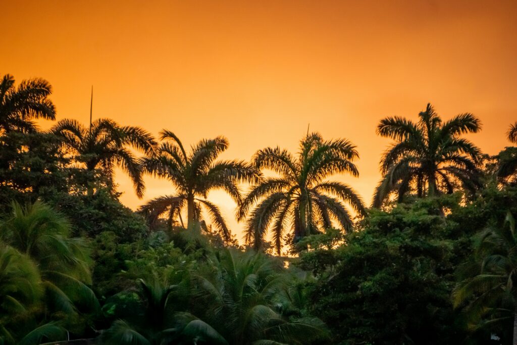 Caribbean Islands Caribbean Islands
